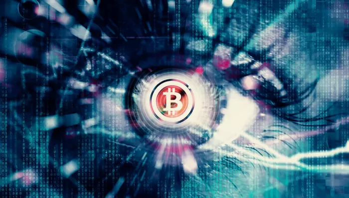 Crypto-eyes and the single money vision